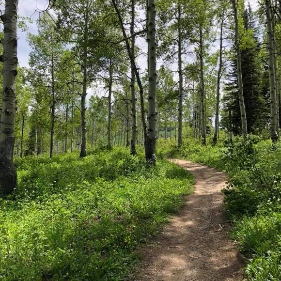 Meet your Posher, Kim - Picture 1 of 2